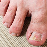 Изображение сайта usy.by